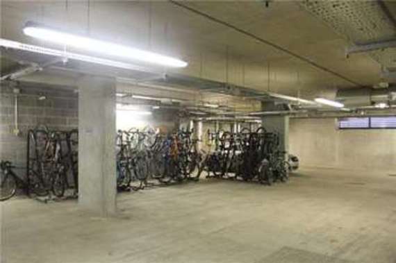 1 Bedroom Apartment