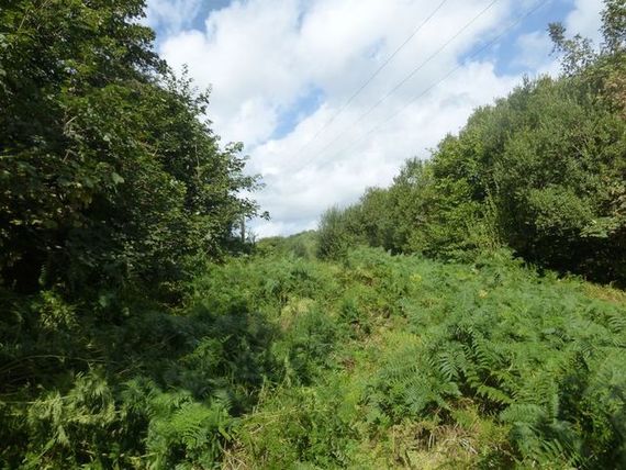 Rescorla St Austell, PL26 8YT