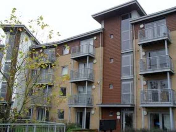 1 Bedroom Apartment