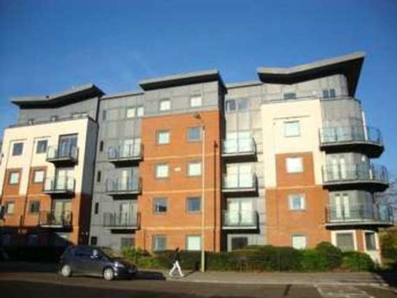 1 Bedroom Flat