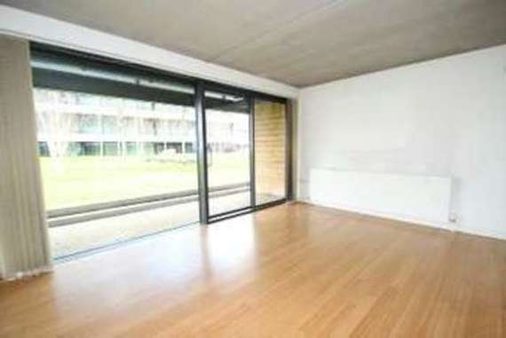 1 Bedroom Apartment