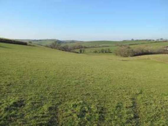 Babland Cross Modbury Ivybridg...