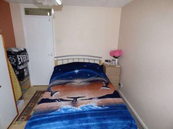 1 Bedroom Apartment