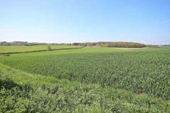3 Bedroom Detached