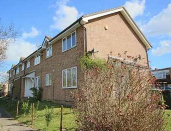 1 Bedroom Semi-Detac...