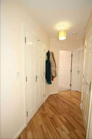 1 Bedroom Apartment