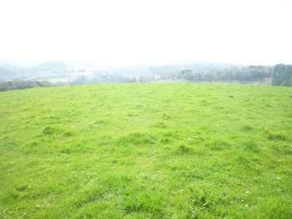 Herodsfoot Liskeard, PL14 4RB