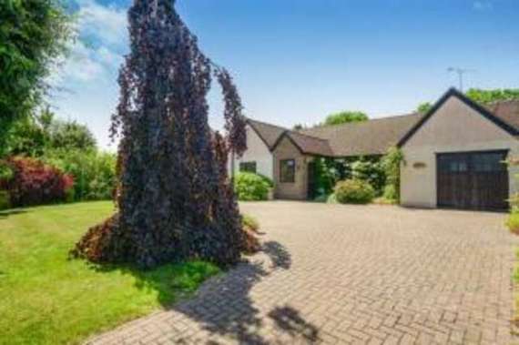 4&nbsp;Bedroom&nbsp;Bungalow