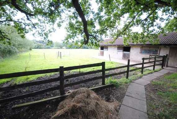 3 Bedroom Bungalow