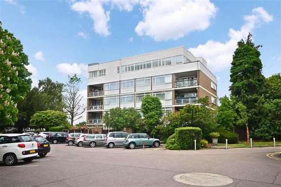 3 Bedroom Apartment
