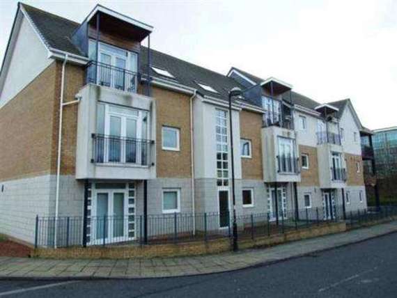1 Bedroom Apartment