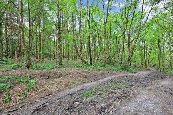 5 Bedroom Detached