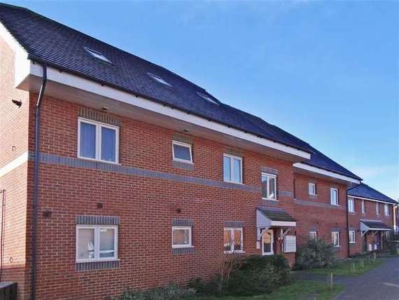 1 Bedroom Apartment