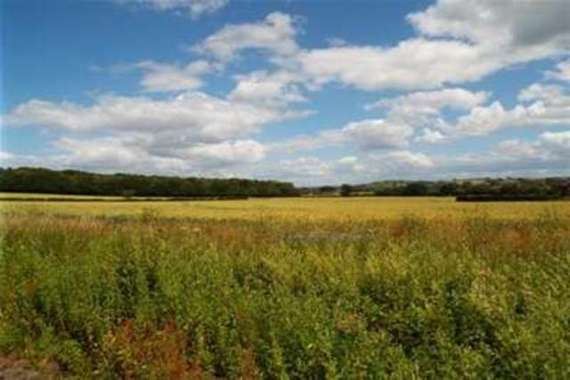 3 Bedroom Detached