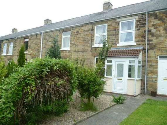 3 Bedroom Terraced