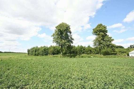 West Ella  Hull, HU10 7SG