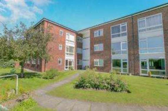 1 Bedroom Flat