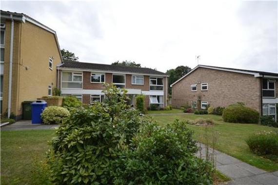 2 Bedroom Flat