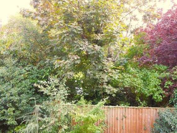 1&nbsp;Bedroom&nbsp;Flat