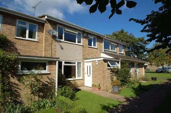 3 Bedroom Terraced