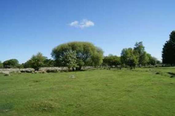 5&nbsp;Bedroom&nbsp;Detached