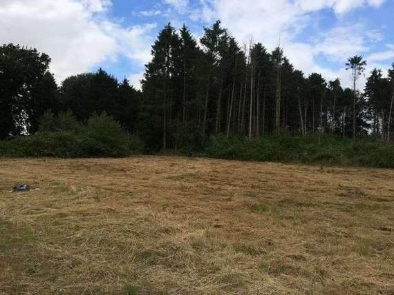 Crownthorpe Road Wicklewood Wy...