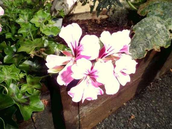 2&nbsp;Bedroom&nbsp;Property