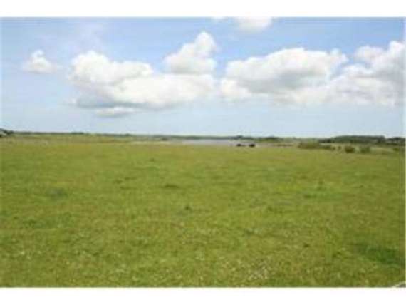 4&nbsp;Bedroom&nbsp;Detached