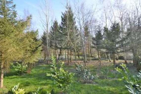 4 Bedroom Detached