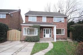 4 Bedroom 