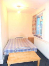  Bedroom Studio