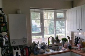 2 Bedroom Flat