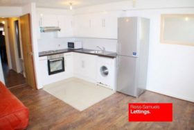 1 Bedroom Flat
