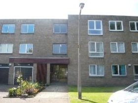 3 Bedroom Flat
