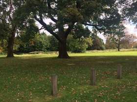 1 Bedroom Ground Fla...