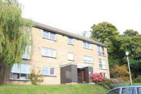 2 Bedroom Flat