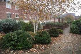 2 Bedroom Flat