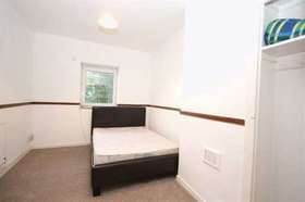 1 Bedroom Flat