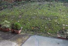 1&nbsp;Bedroom&nbsp;Flat