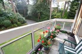 3 Bedroom Flat