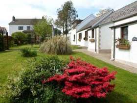4 Bedroom Detached