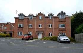 1 Bedroom Apartment
