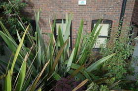 2&nbsp;Bedroom&nbsp;Apartment