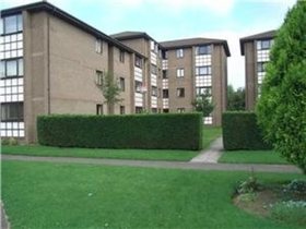 1 Bedroom Flat