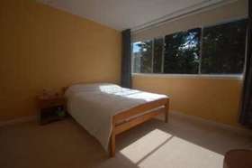 1 Bedroom Apartment