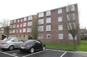 1 Bedroom Flat