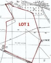 Approx 20 acres Land Shirenewt...