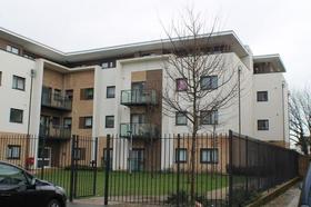 1 Bedroom Flat Share