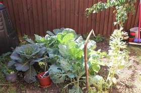 4 Bedroom Detached