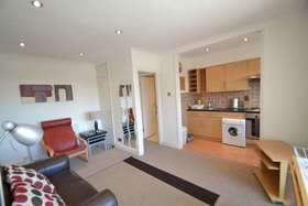 1 Bedroom Apartment